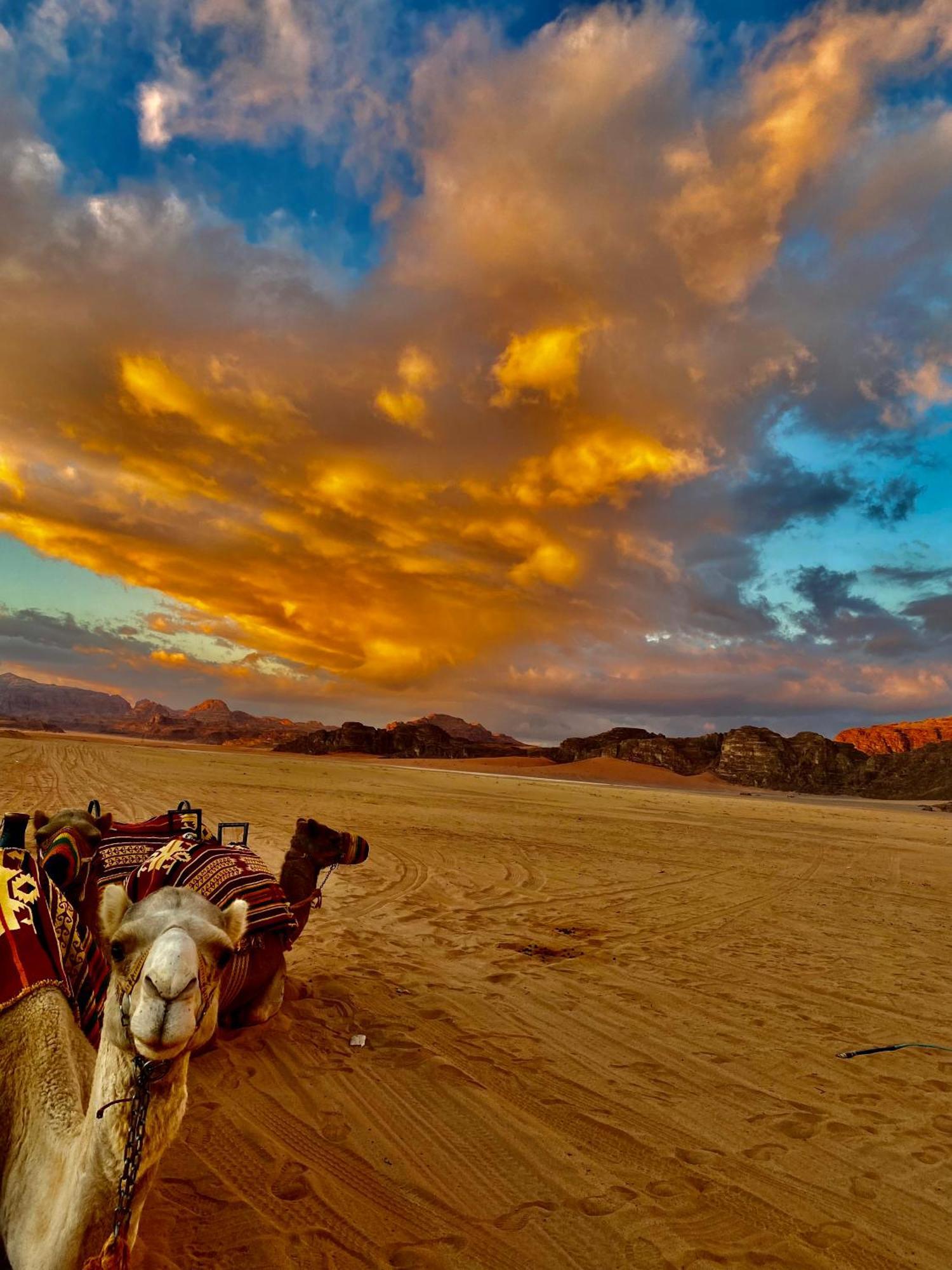 Rum Four Mountain Luxury Camp Wadi Rum Buitenkant foto